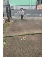 血染めの写真と三文字のＳＯＳ